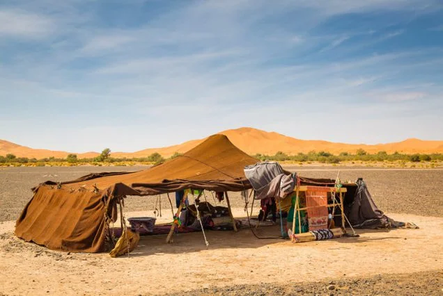 2 night merzouga camel trek - Morocco camel trekking