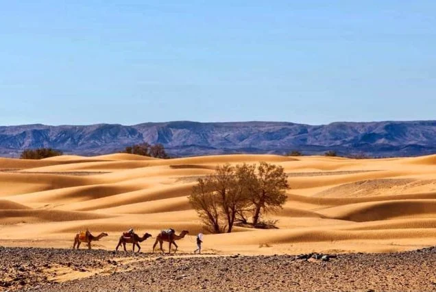 4 days desert tour from Agadir