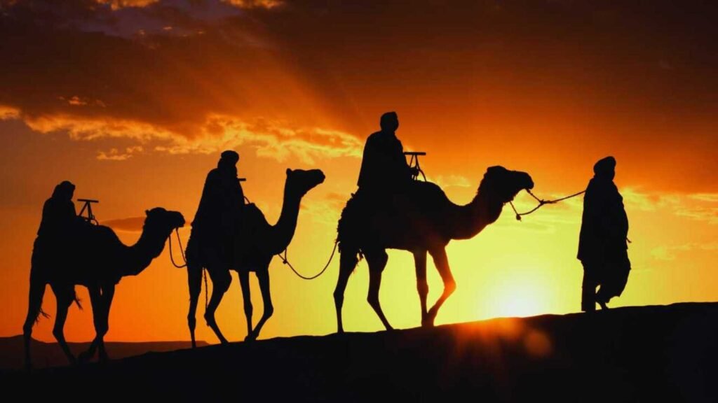 Paseo en camello por Marruecos