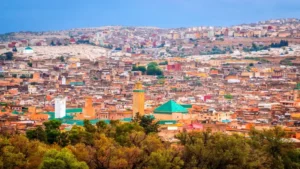 What is the history of the Fez Medina?