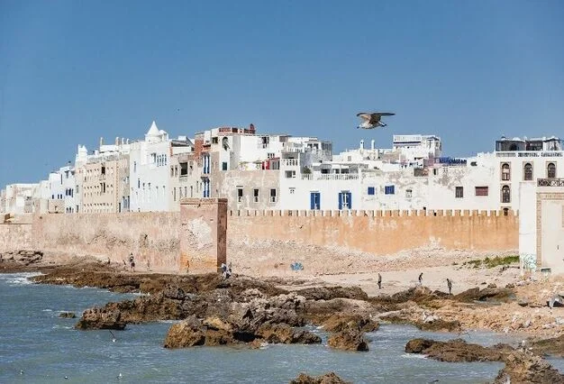 day trip from marrakech to essaouira - morocco desert tours