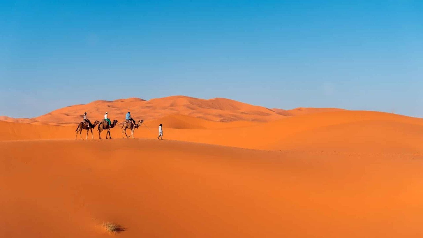 What is the best Moroccan Sahara Desert Zagora vs Merzouga?