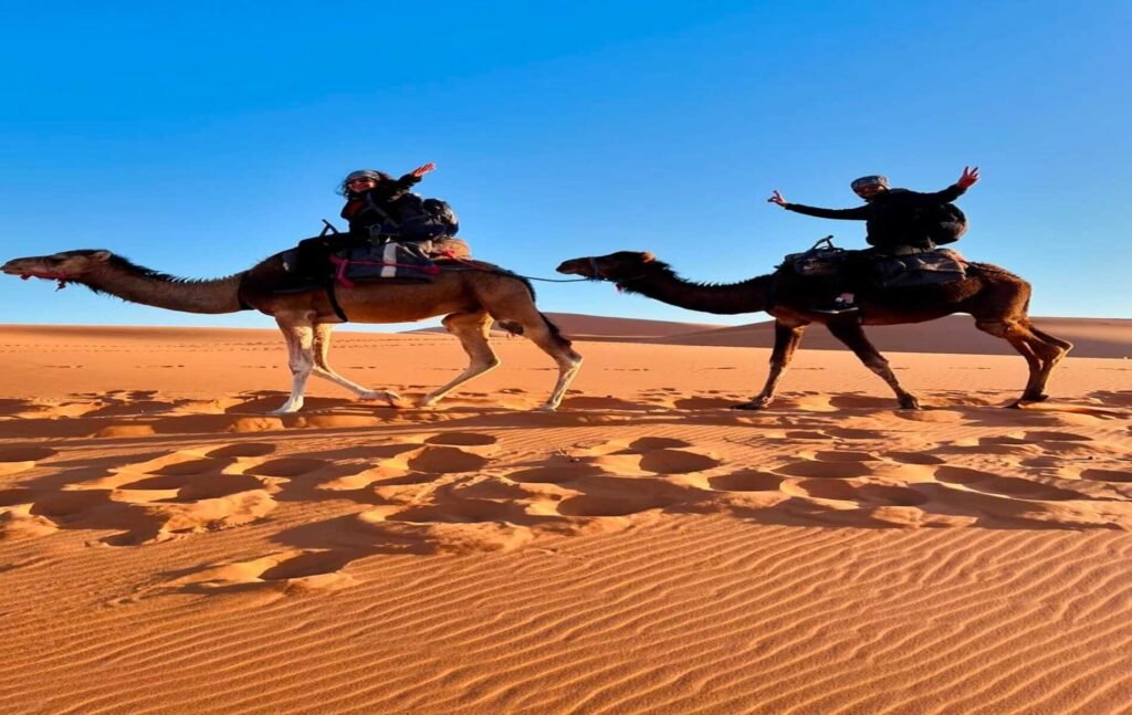 How to get to the desert from Marrakech