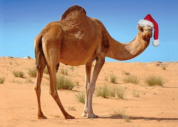 https://www.marrakechdesertexcursions.com/wp-content/uploads/2024/10/Morocco-christmas-and-new-years-eve-in-the-Sahara-desert.jpg?utm_source=chatgpt.com