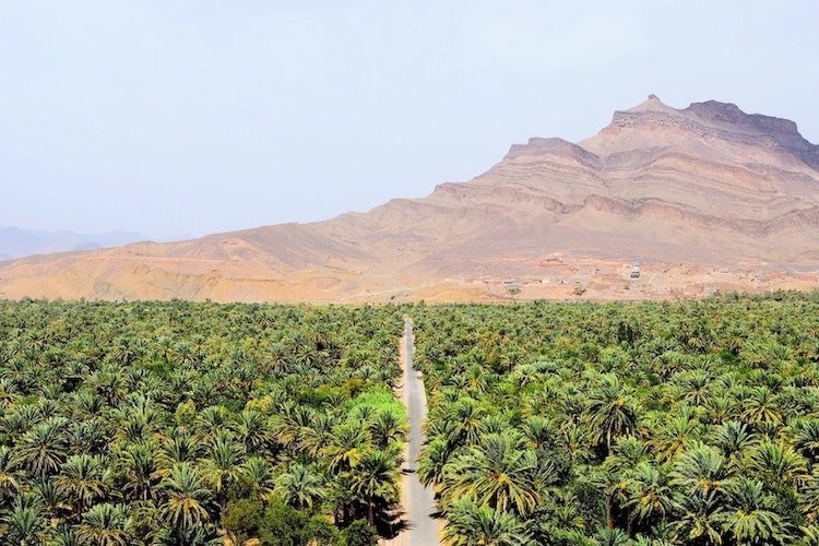 5 days tour from Marrakech to Agadir